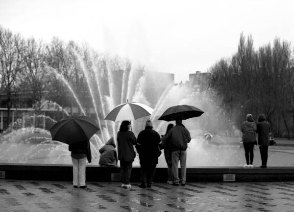 What to do on a Rainy Day in Seattle