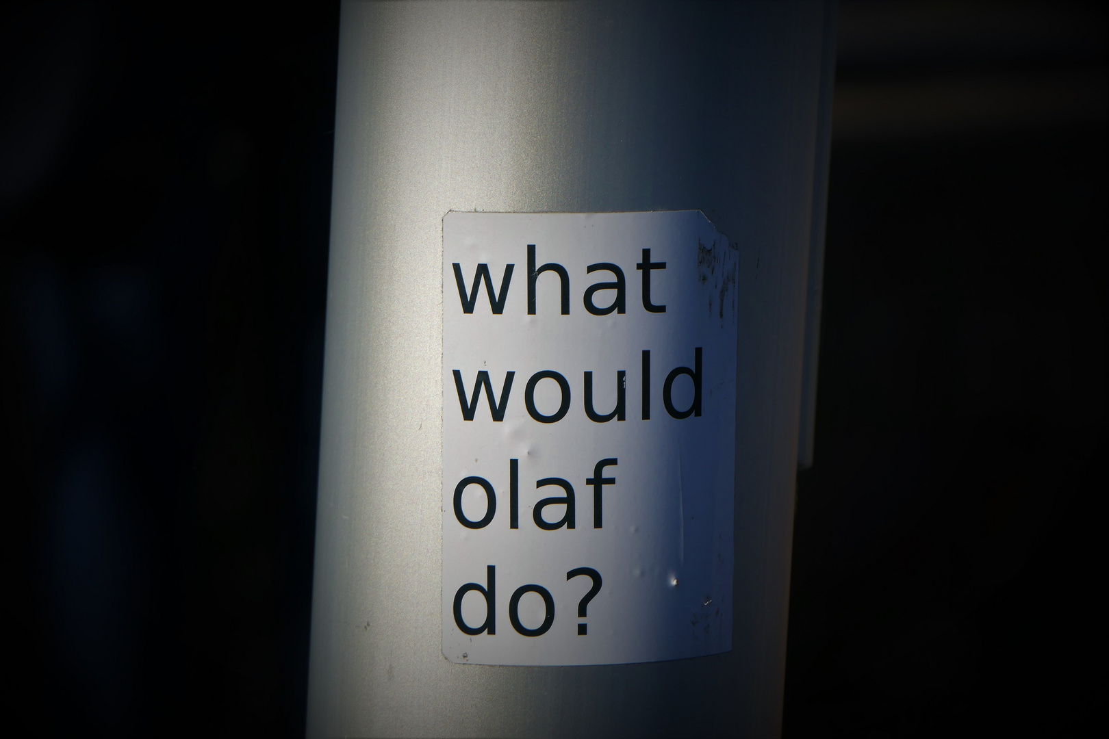 what would olaf do ?