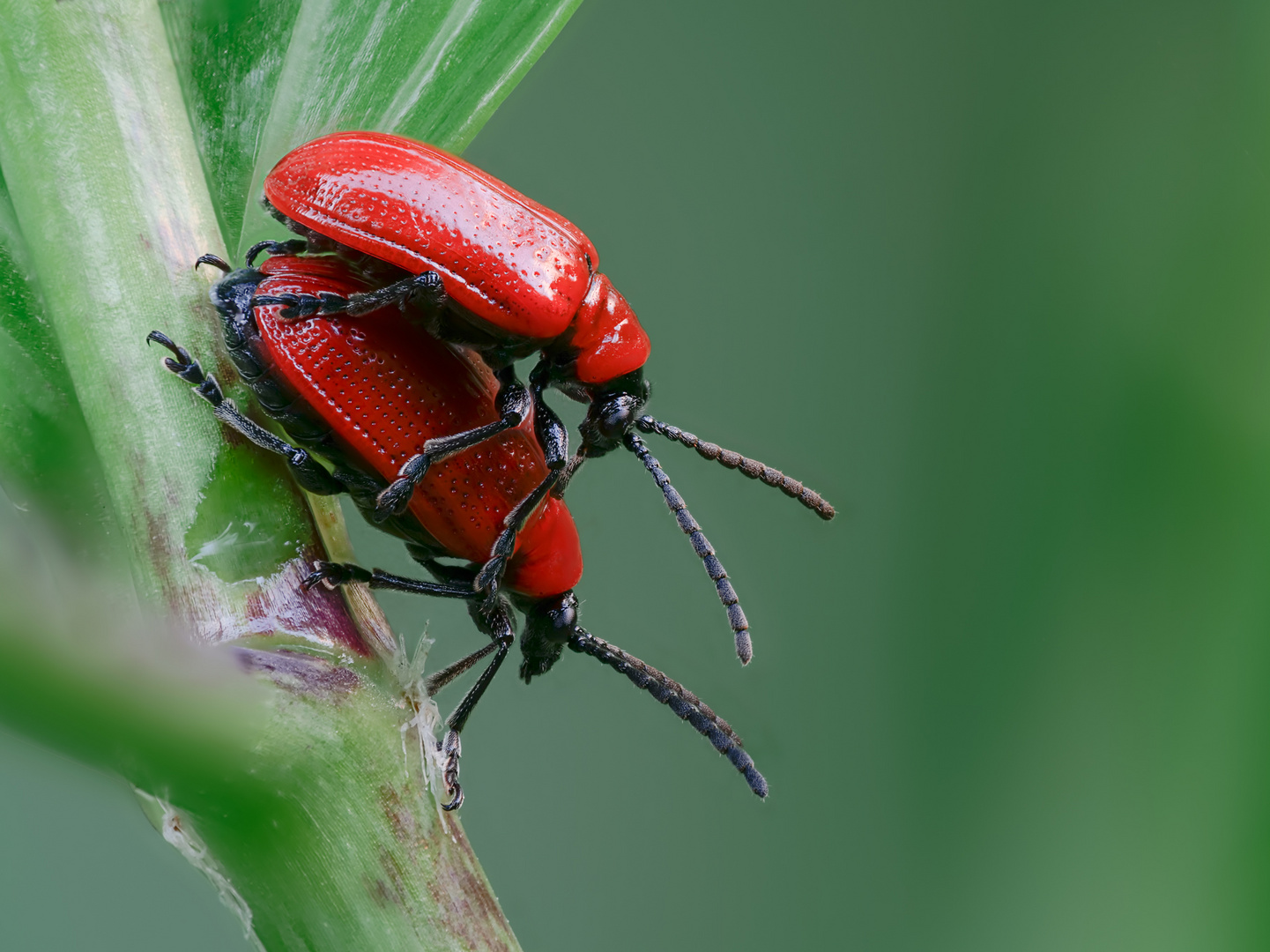 "what's on your back like that...." - Living in habitat