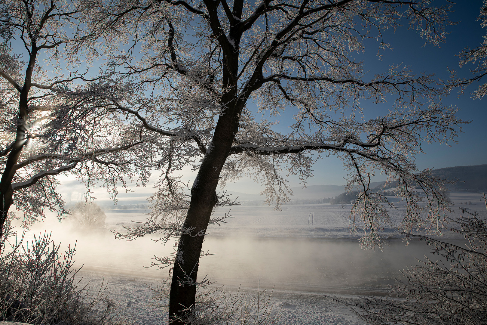 What´s the morning glory