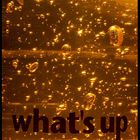 . : what´s up : .