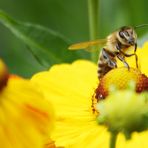 Whatz up? - Ausflug zum Grugapark