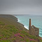 [ Wheal Coates ]