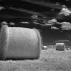 wheat bales 2006