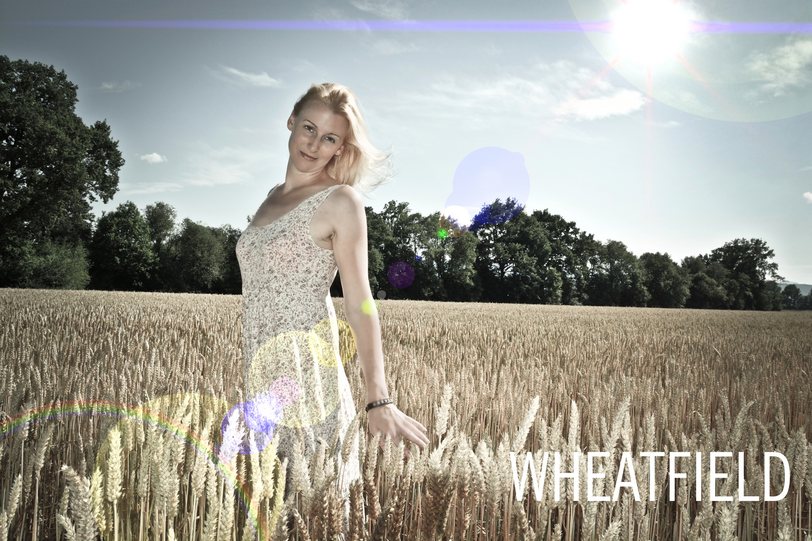 Wheatfield