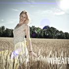 Wheatfield