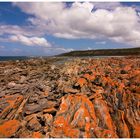 Wheatons Beach-Kangaroo Island