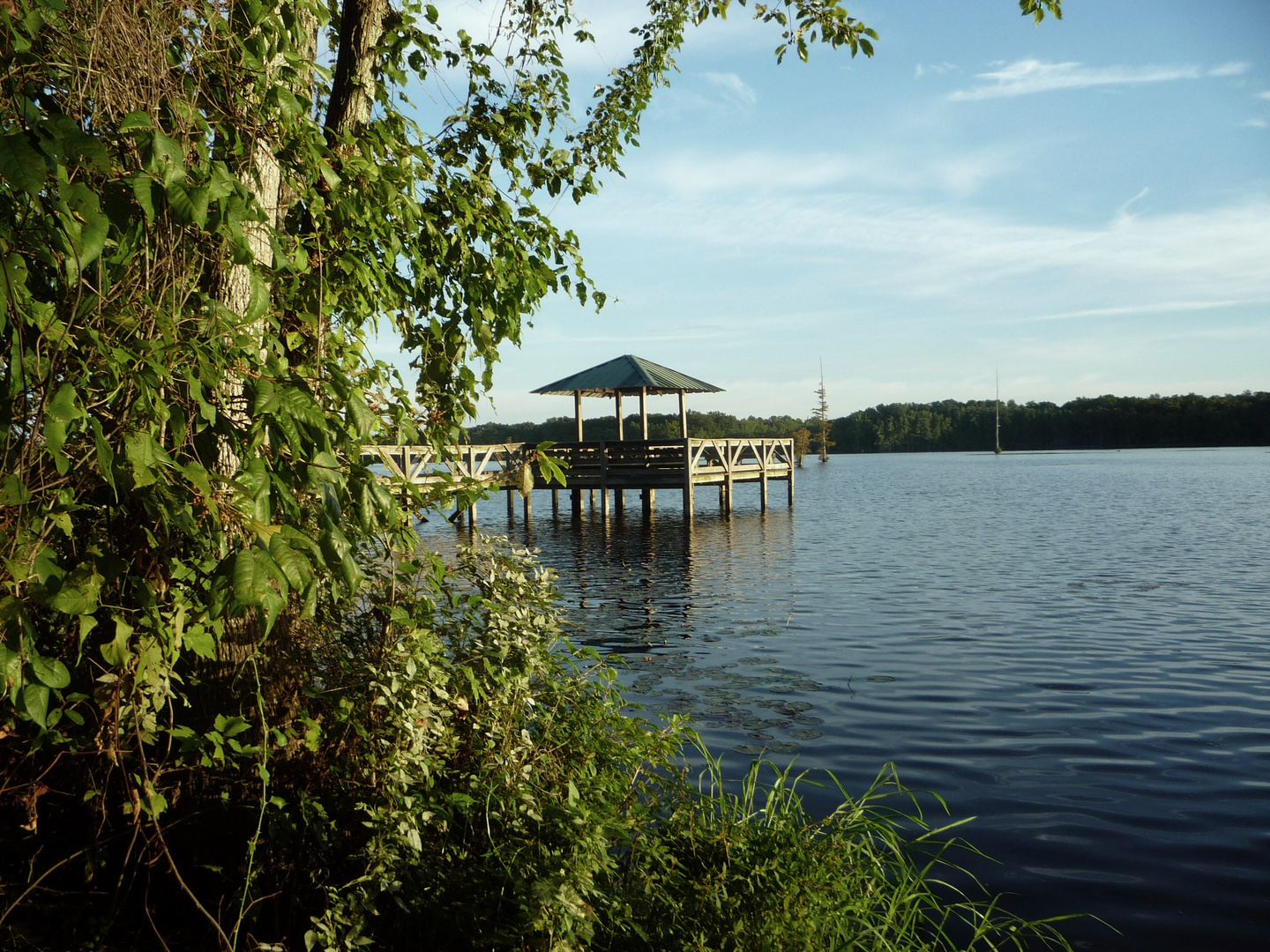 WHEEL CHAIR ACCESSIBLE FISHING DOCK