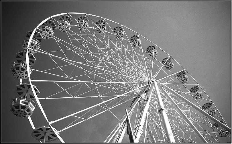 wheel von Gabriele Willig