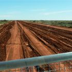 *** Wheel Ruts / Tanami Road ***