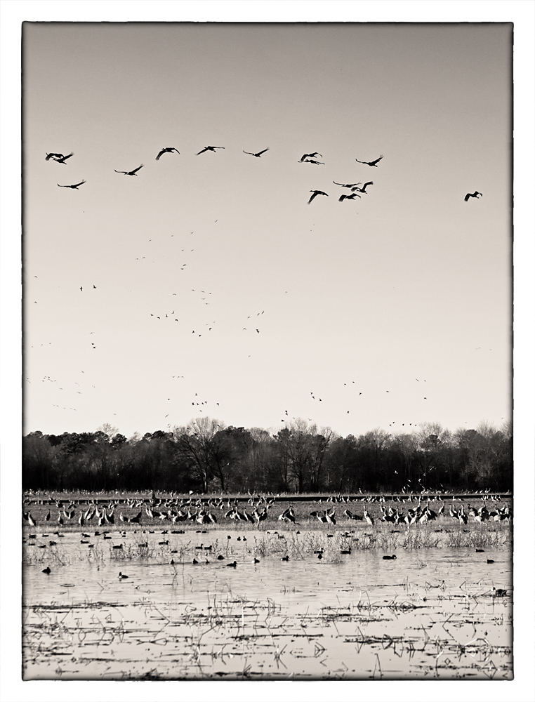 Wheeler National Wildlife Refuge