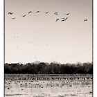 Wheeler National Wildlife Refuge