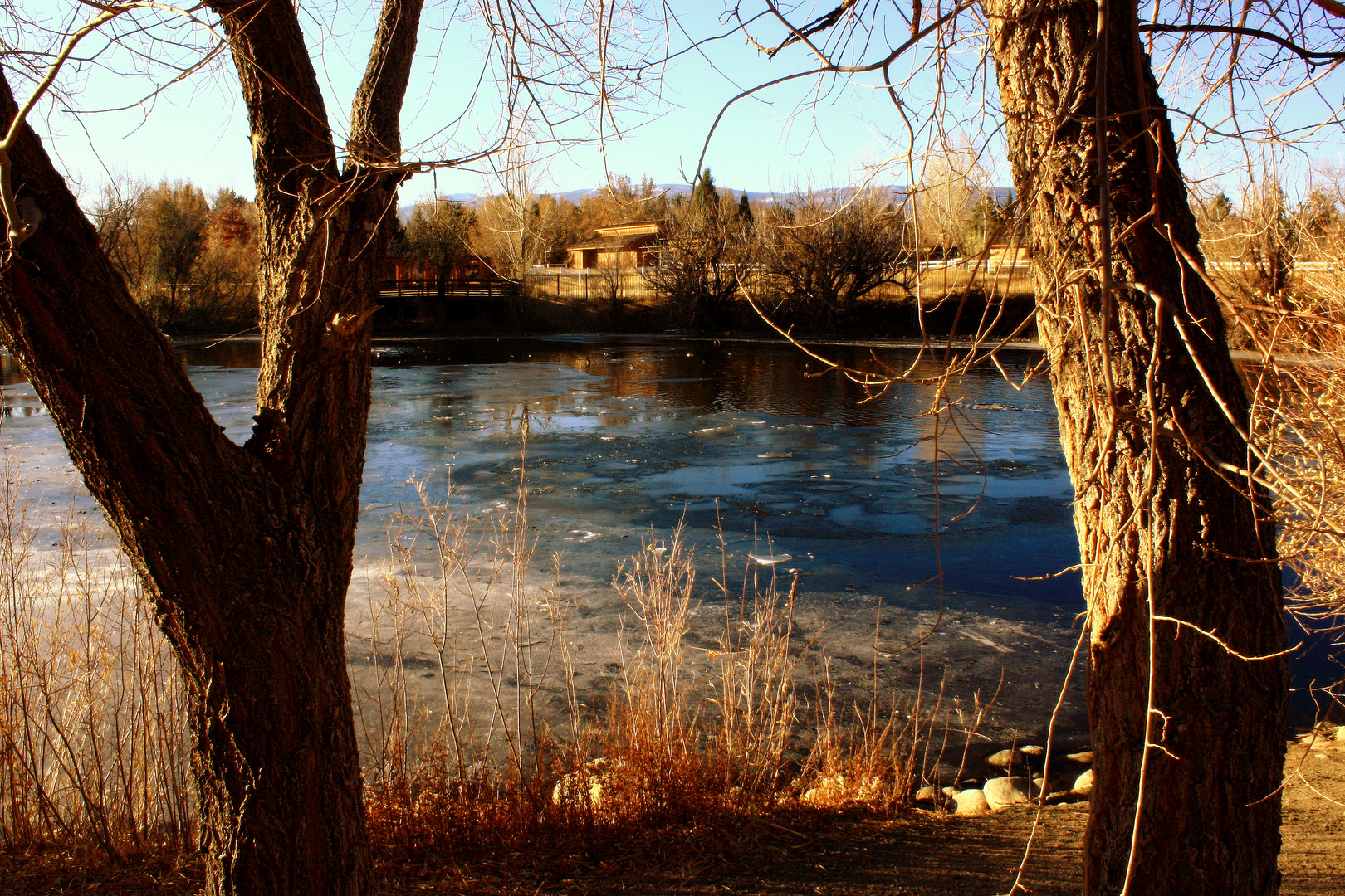 when fall leaves and winter comes