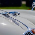 When Hood Ornaments Were Works of Art