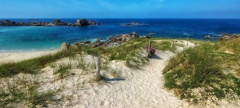 When I think back to the summer...... it was beautiful!(4) 