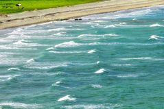 When I think back to the summer...... it was beautiful!(5)