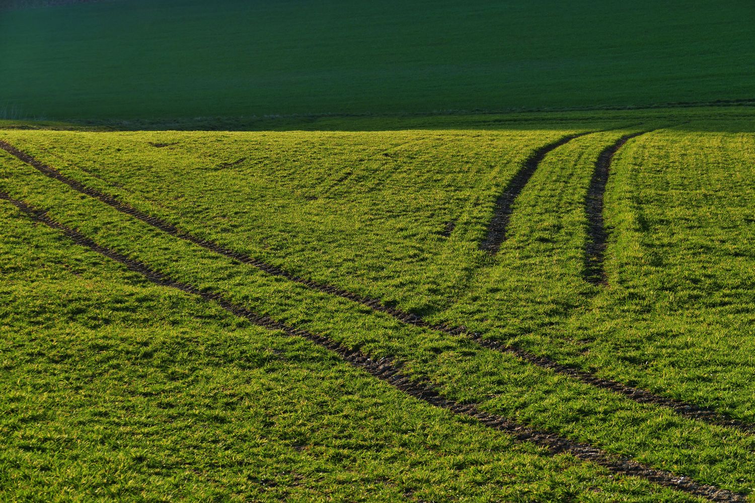 When shall we meet again foto bild feld landwirtschaft spuren