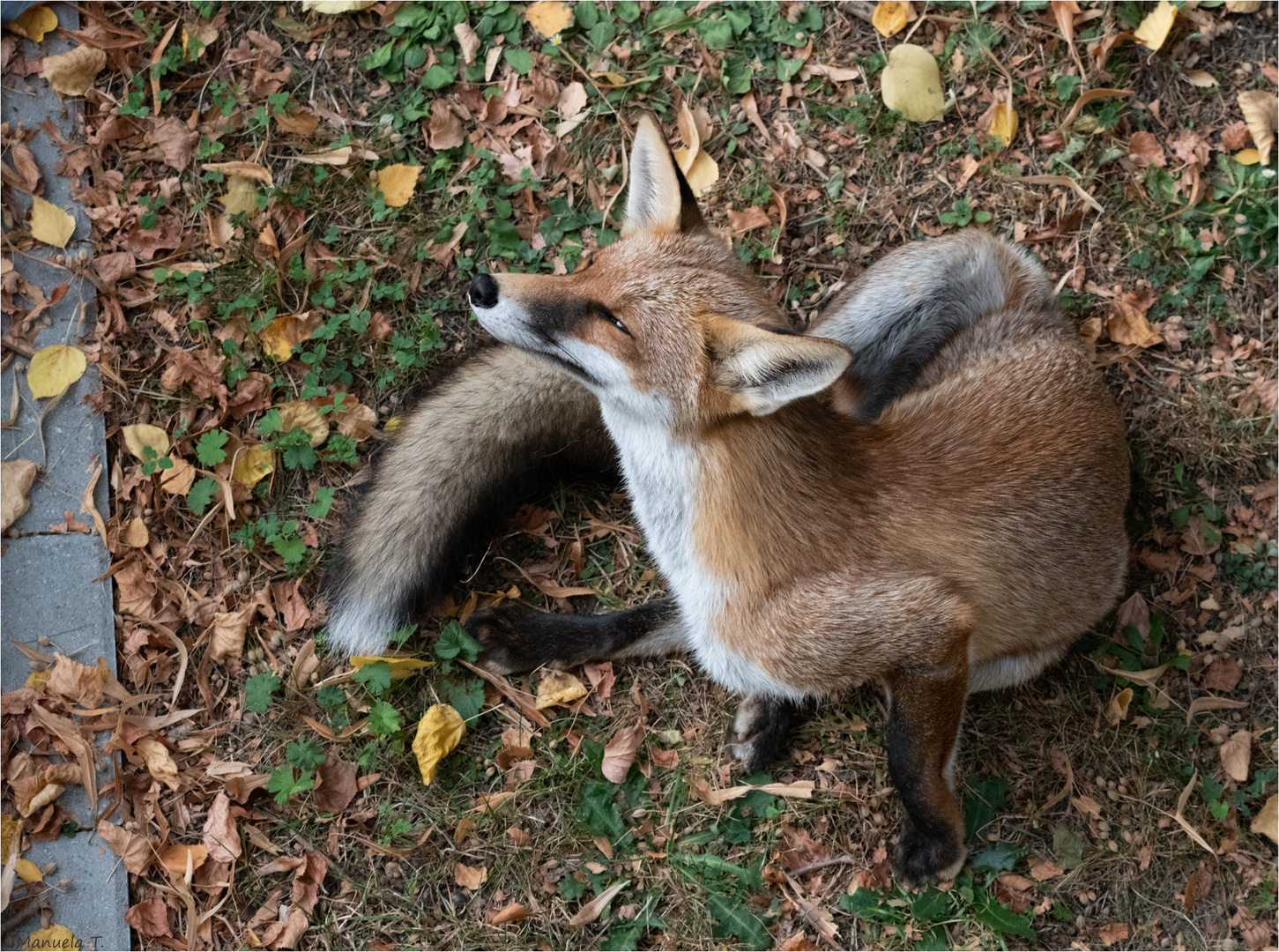 when the fur is itchy, you need to scratch