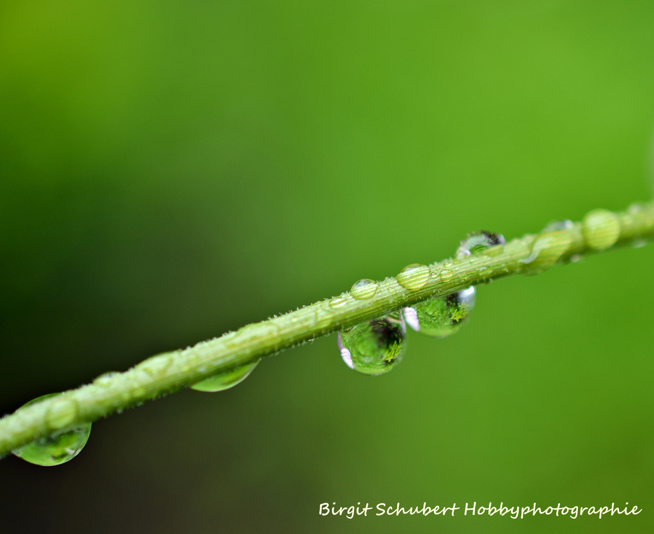 when the rain begins to fall...