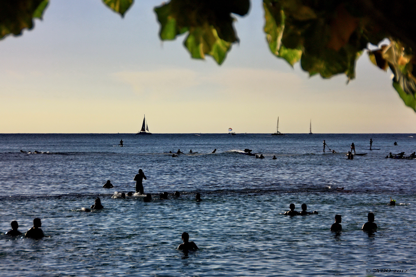 When the Sea is Warm in the Late Evening