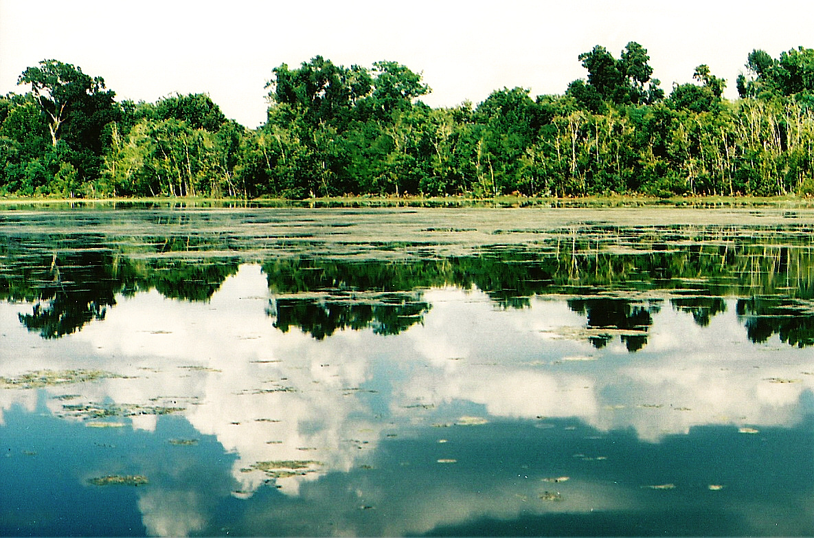 When the sky swimming in the lake