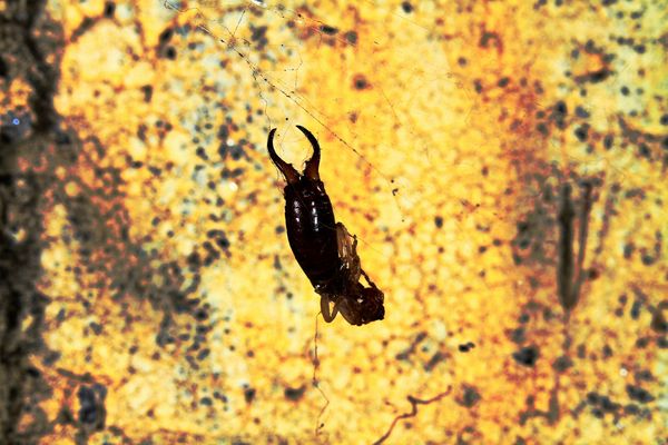 When your time is up..time is up!!