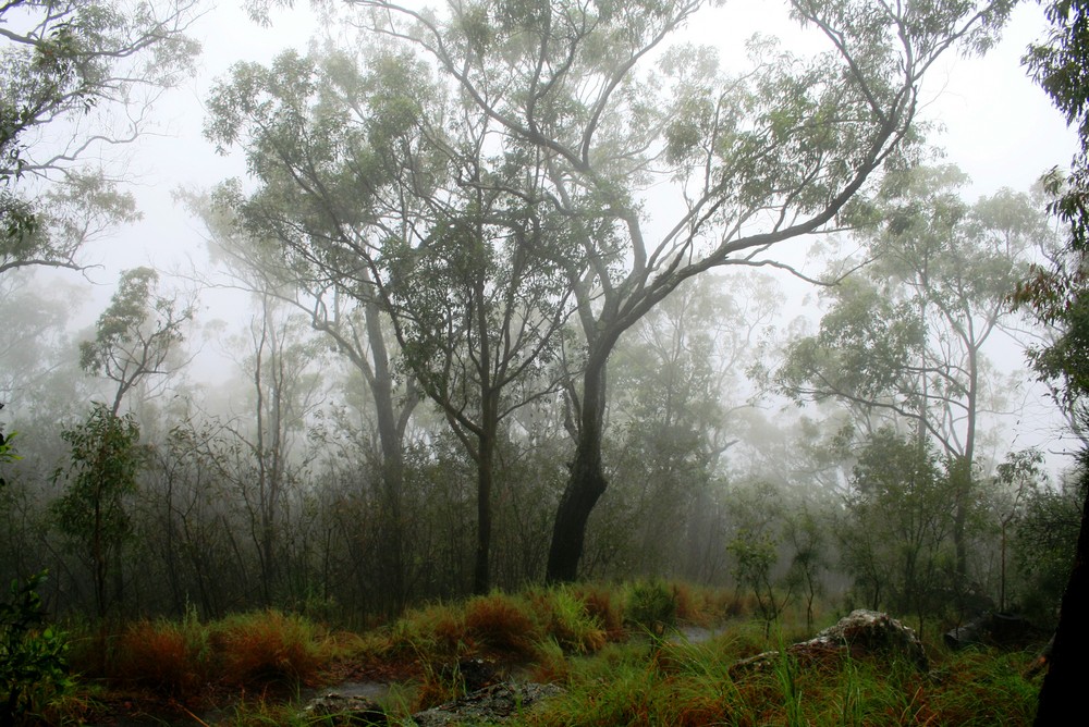 where are the Glass House Mountains ?