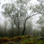 where are the Glass House Mountains ?