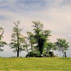 Where Choptank Meets Chesapeake - A Tilghman Island Impression