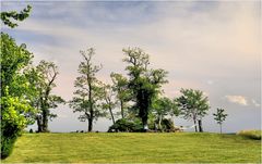 Where Choptank Meets Chesapeake - A Tilghman Island Impression