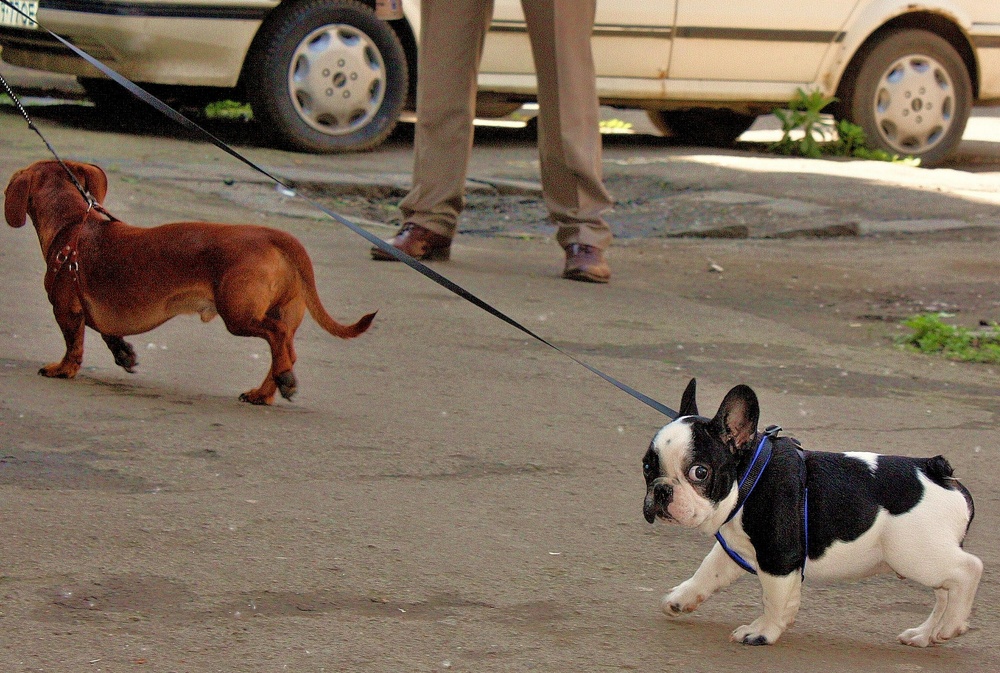 "Where is my mama? "