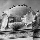 Where Pigeons Dare (midst Eagles' Lair) - A Washington Moment