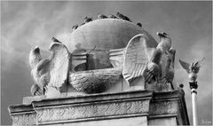 Where Pigeons Dare (midst Eagles' Lair) - A Washington Moment