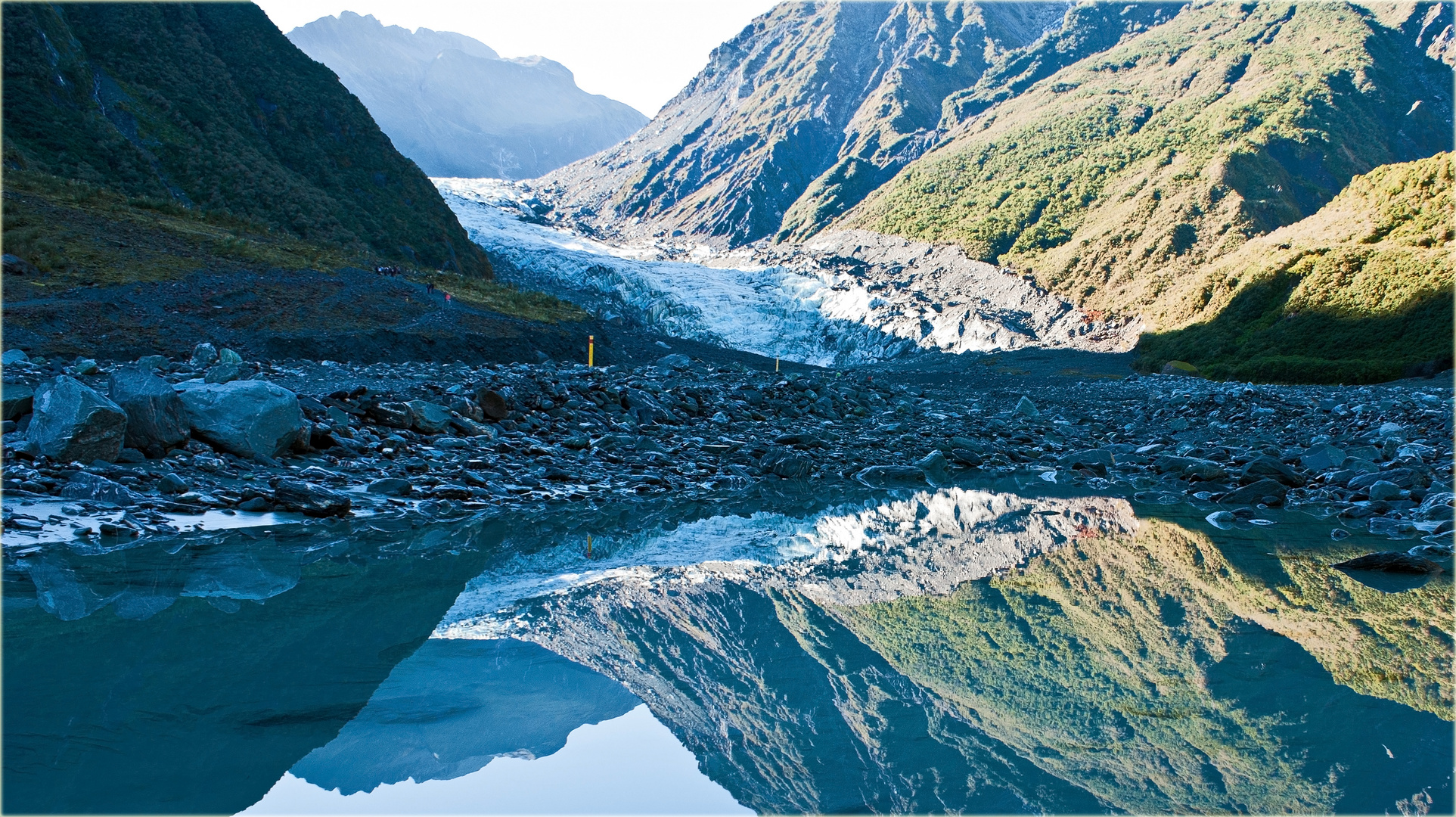 Where the Glacier meets the Rainforest