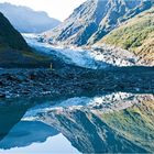 Where the Glacier meets the Rainforest