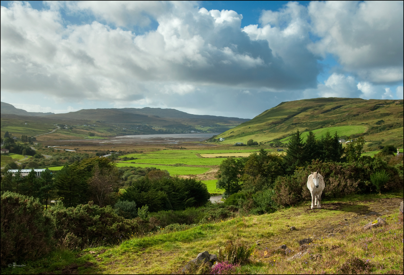 Where the horse meets the Talisker