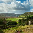 Where the horse meets the Talisker