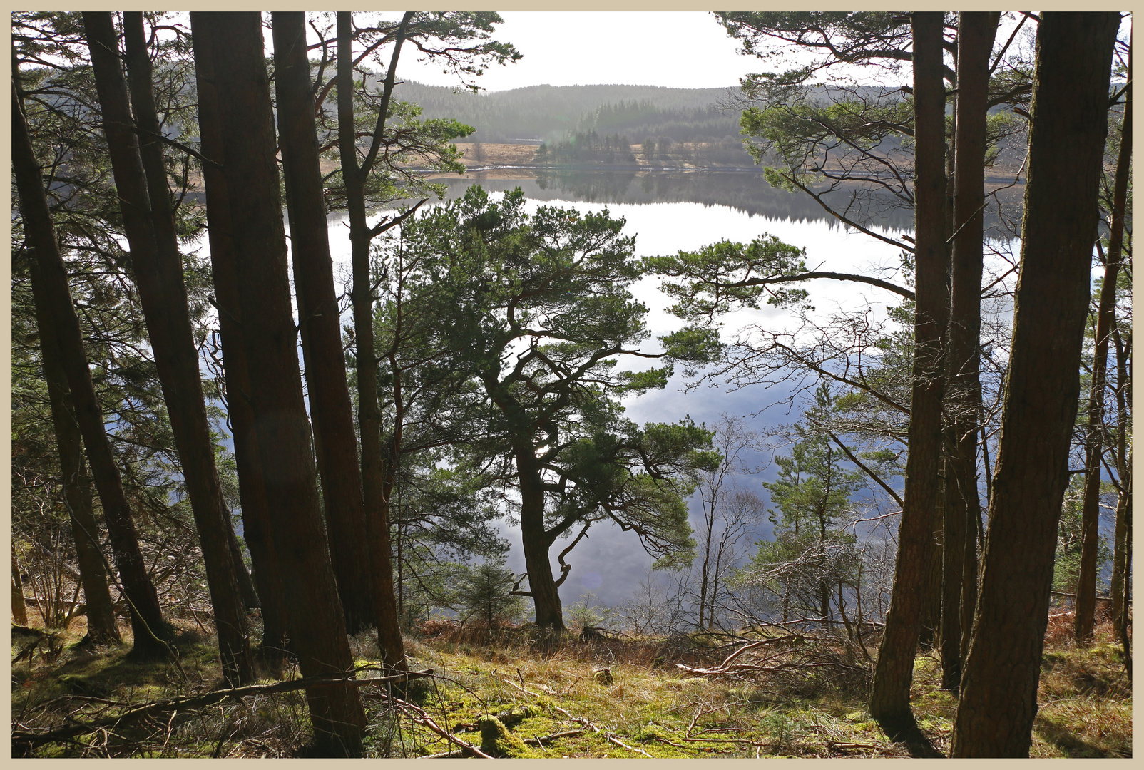 whickhope kielder