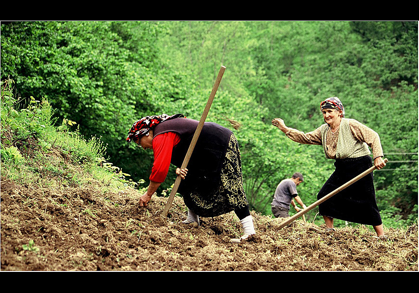 while grandmother do the work-Giresun-Turkey