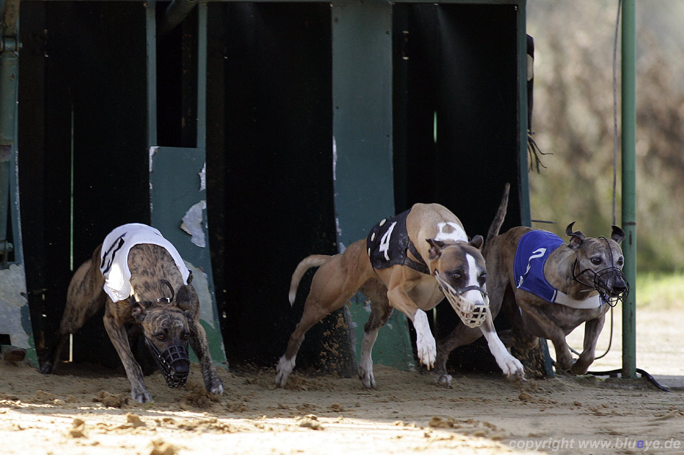 Whippet lift off