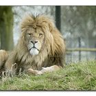 Whipsnade Animal Park #05