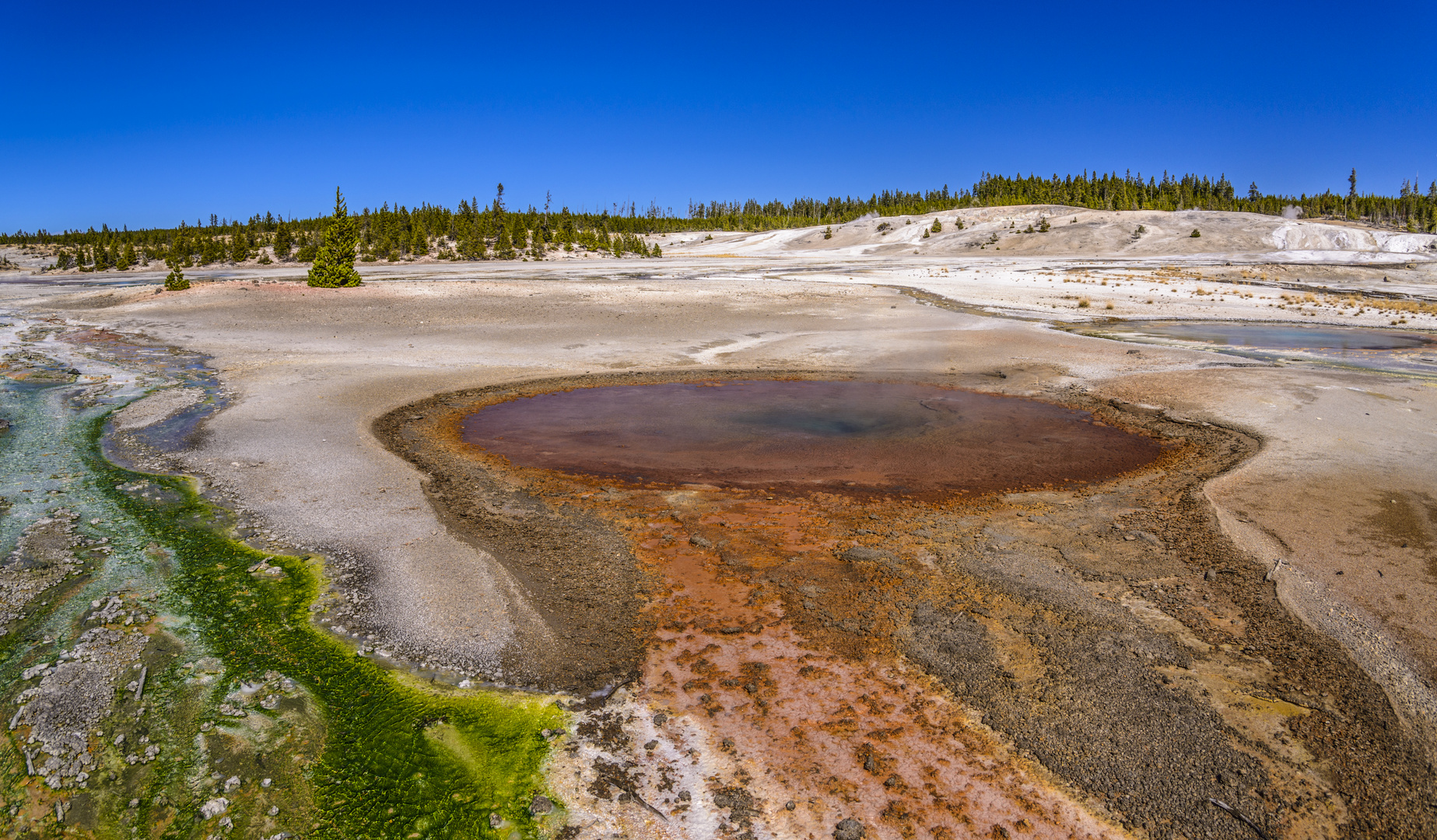 Whirligig Geyser, Yellowstone NP, Wyoming, USA