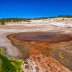 Whirligig Geyser, Yellowstone NP, Wyoming, USA