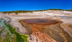 Whirligig Geyser, Yellowstone NP, Wyoming, USA