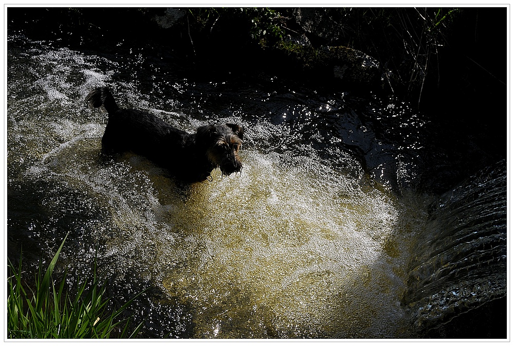 Whirpool mit Dusche