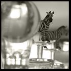 Whiskey mit Zebra.