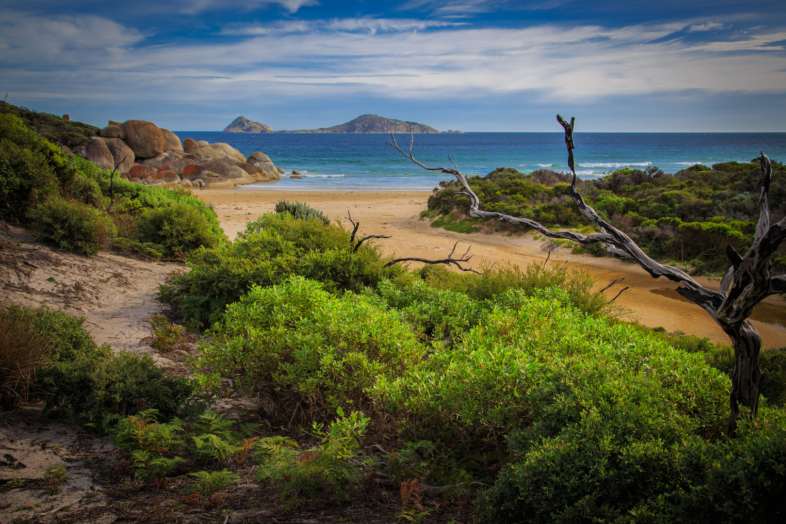 Whisky Bay Wilsons Promontory NP Victoria