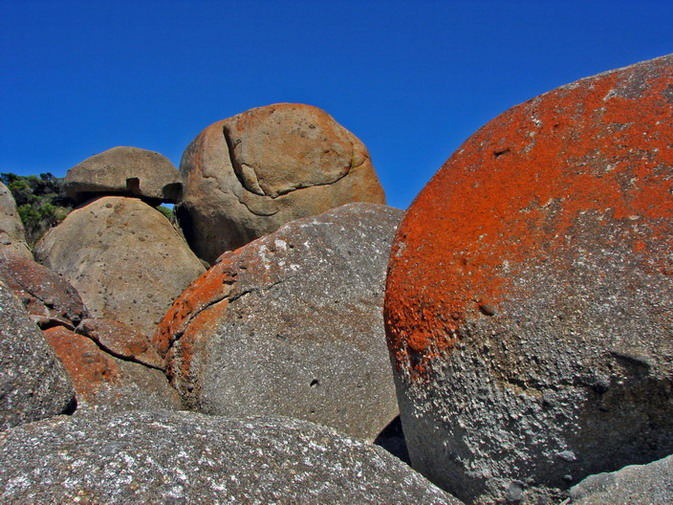 Whisky Beach - Wilson Promontory NP