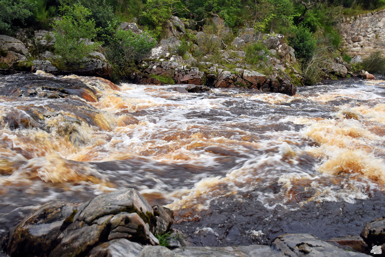 Whiskyfarbenes Wasser