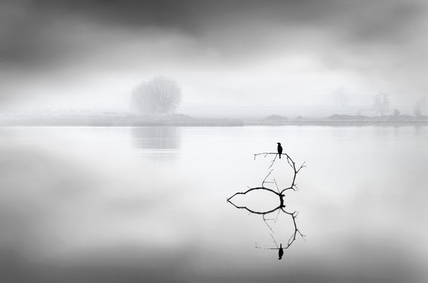 Whispering Lakes 023 